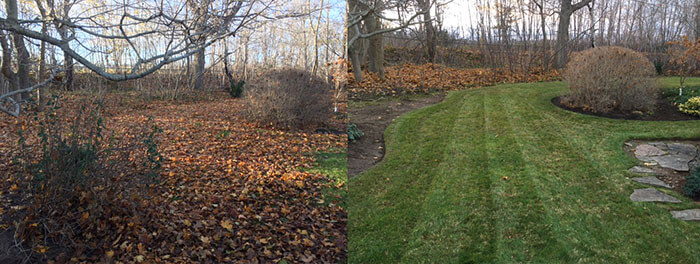 Landscape maintenance services