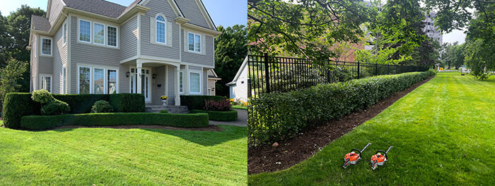 Landscape maintenance services