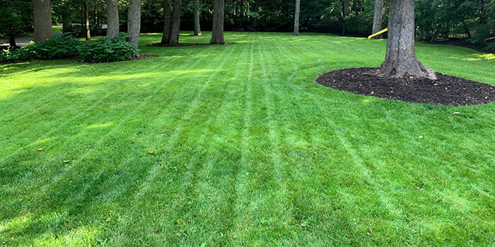 Landscape maintenance services